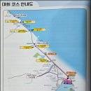 경포인공폭포 앞 | 바다와 달리는 2025 경포마라톤 하프 코스 및 일정 정리