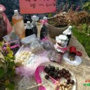 돌실농장 이미지