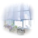 와일드 플라워 이미지