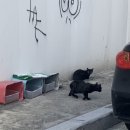 땡땡거리 / 골목길 투어 / 이태원 단골집 개솔직 후기 / 서울 출사 / 남산타워 / 홍대 카츠미 / 포토...