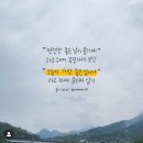 행복바이러스 Daum카페