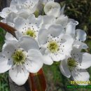 김종철농장 이미지