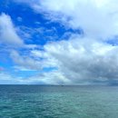 더마르한 이미지