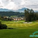 알프스퍼블릭 이미지