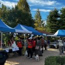 판문동-1 이미지