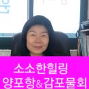 대경회타운 | 겨울여행중입니다ㅡ양포항&amp;감포물회&amp;대경명리 진로심리 철학원 창원마산개명작명잘하는곳 창원마산사주...