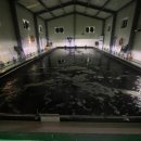 오즈실내바다 낚시터 이미지