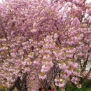 마을정미소 이미지