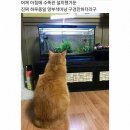 겜 이미지