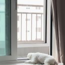 아따멍멍 이미지