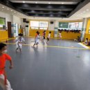 용인대 대동 태권도 네이버블로그