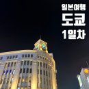 돗토리김밥 | [일본 여행|도쿄] #도쿄 여행 1일차(호텔 비아 인 아카사카/긴자 불고기 살롱 드 에이징 비프)