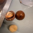 주식회사티와이 | 통마카다미아 추천 KING’S 프리미엄 견과간식 체험 후기