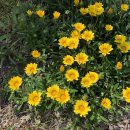 센서크리닝 이미지