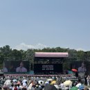 오월(5월) | 5월 서재페 후기 🎂🥵🎶🍻🍕🍓🫐