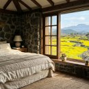 유채향 민박 | 유채꽃 피는 3월의 제주, 아침 햇살에 감성 숙소 찾기