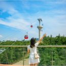 ㈜브이카 이미지