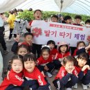 단샘유치원 이미지