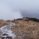 그린골프연습장 이미지