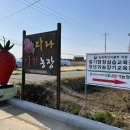 철훈농장 브런치