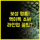 벌교PC | 보성몰 착한 소비 선순환 구조 녹차 키위 축산물 명품 특산물 라인업 총정리