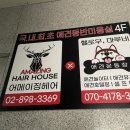 헬로우, 마루네 애견운동장 네이버블로그