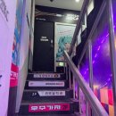 화이트치과기공소 | 건대이색카페 우주로캣 고양이카페 데이트 추천