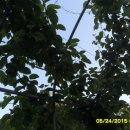 다래 당구장 이미지