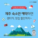 나우호텔 이미지