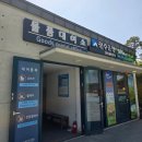 순천만 습지 | 순천만 국제정원 동문 후기, 습지 내 돈 내산 구경