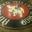 히포코코 이미지