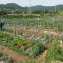 2020농장 이미지