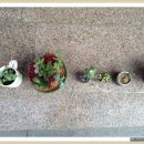 홀인원공인중개사사무소 이미지