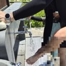 [화성 가볼만한곳] 피크닉 명소 '궁평항 해솔밭' 주차·취사·준비물·매점·놀이터 총정리