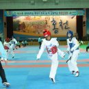 경희대 신아태권도 이미지