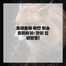 서경약국 | 봄맞이 대청소! 내 얼굴의 화사함, 치아 미백으로 완성했어요!