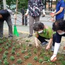 주안3동 행정복지센터 이미지