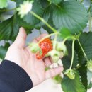 영생농장 이미지