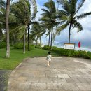 아침애 약국 | 다낭 한시장 롯데마트 환전 비교 쇼핑 후기