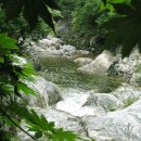 7월 정기산행(7/9일) 가평 석룡산 조무락골 계곡트레킹 마감합니다. 이미지