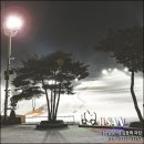 지산메이플콘도 당구장 이미지