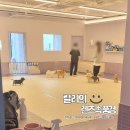 아소비 퍼피스 서창점 네이버블로그