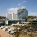 포항시북구81 내외일보