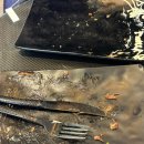 라차차 | 프랑스 파리 루브르, 뛸르히가든 근처 아침식사 가능한 해피카페(Happy Caffé) 후기