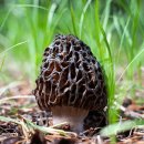 BODY SOLUTION GYM 이미지