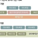 한미유리