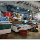 장터수산 이미지