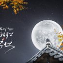 (주)팀싸파 이미지
