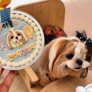 미미까까 이미지