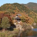 청도서원 Daum카페